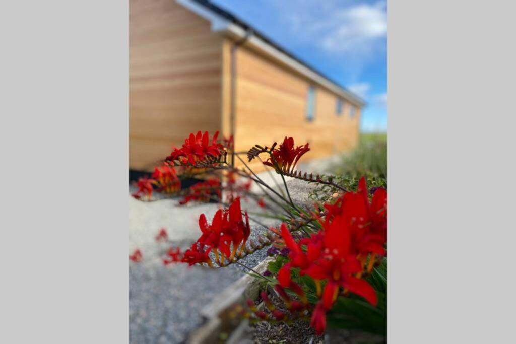The Gallafield, Self Catering Bungalow , Stornoway Stornoway  Exterior photo
